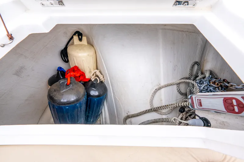 Slide: The Image of Aquila 32 2020 - 42