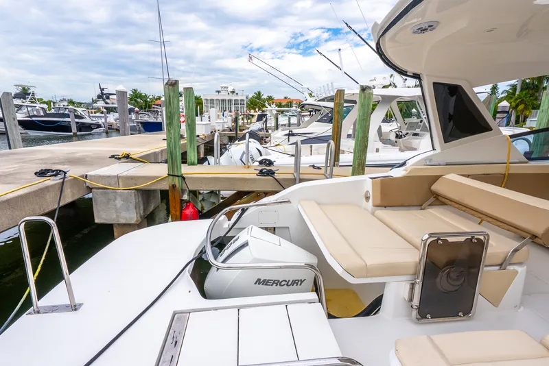 Slide: The Image of Aquila 32 2020 - 6