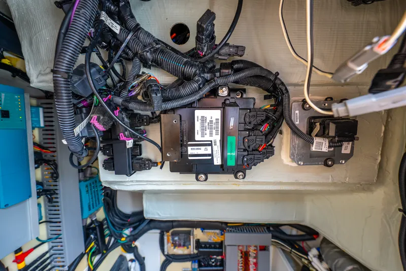 Slide: The Image of Aquila 32 2020 - 60