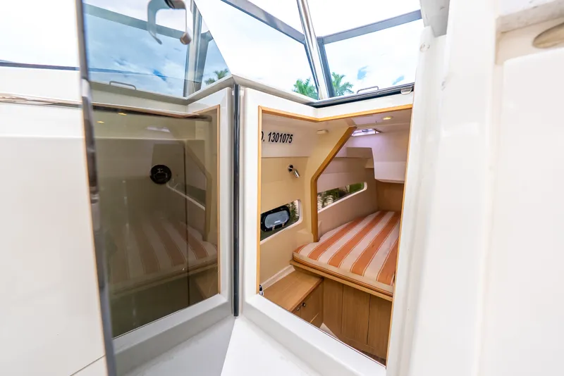 Slide: The Image of Aquila 32 2020 - 68