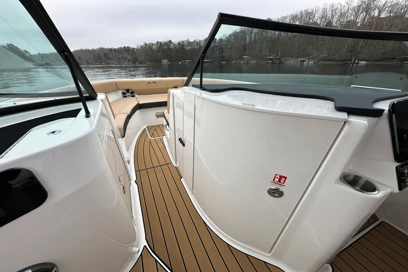Slide: The Image of Sea Ray 250 SDX 2025 - 18