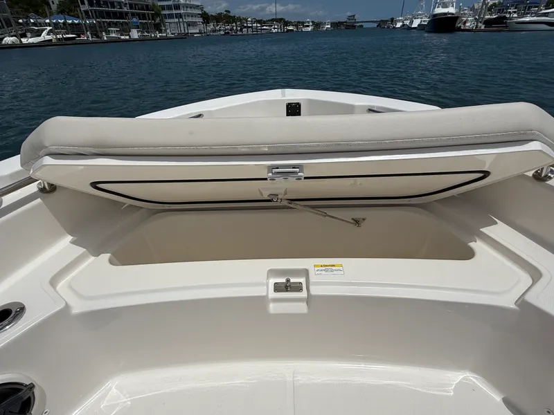 Slide: The Image of Boston Whaler 220 Dauntless 2026 - 24