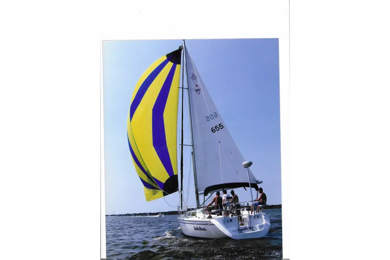 Slide: The Image of Sailing on a 1999 Catalina 320 with vibrant yellow and blue spinnaker. - 5