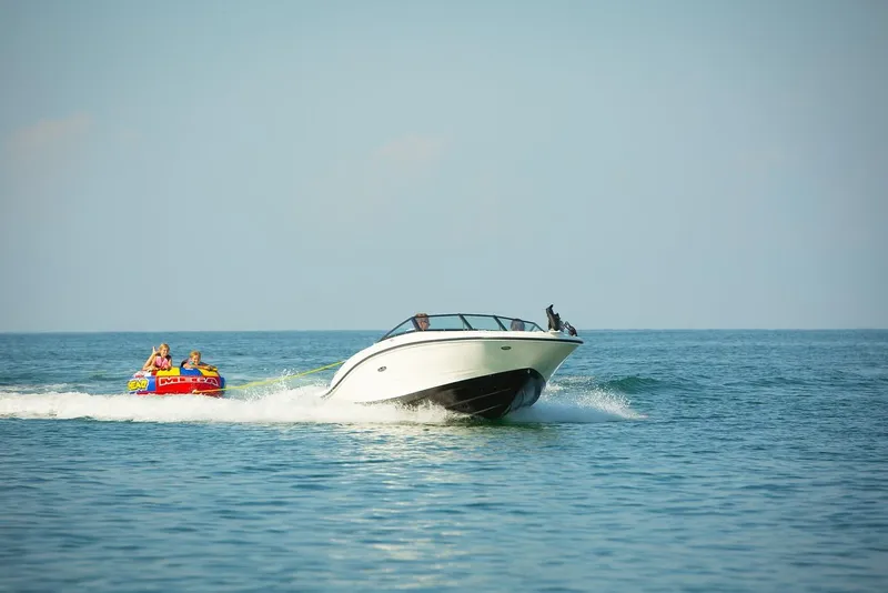 Slide: The Image of Sea Ray 19 SPX 2016 - 12