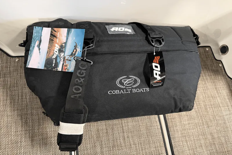 Slide: The Image of Cobalt R6 Outboard 2025 - 55