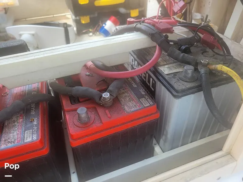 Slide: The Image of Mako 261 B 1993 - 13597886