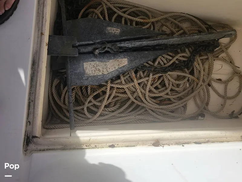 Slide: The Image of Mako 261 B 1993 - 13597902