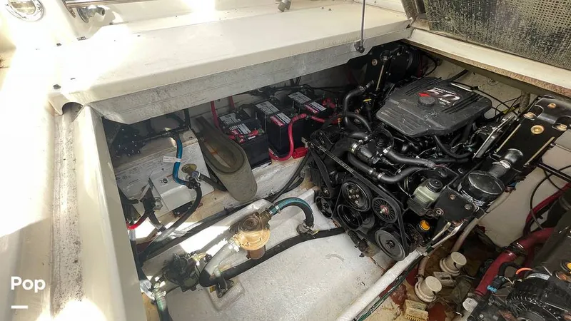 Slide: The Image of Sea Ray 290 Amberjack 2005 - 13493330