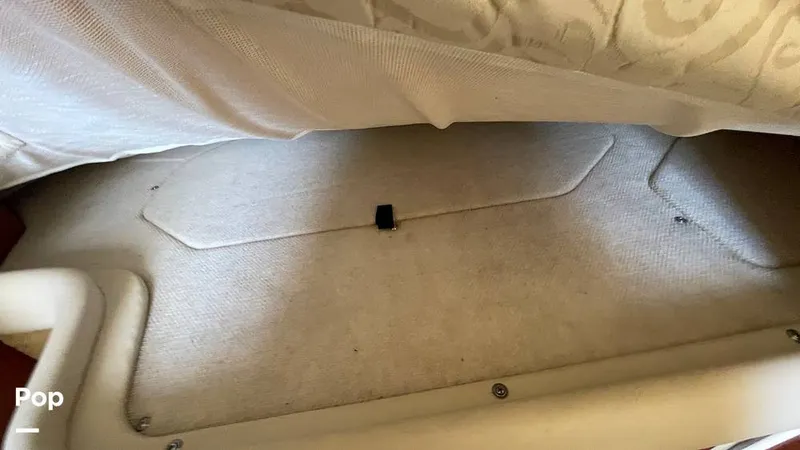 Slide: The Image of Sea Ray 290 Amberjack 2005 - 13493329