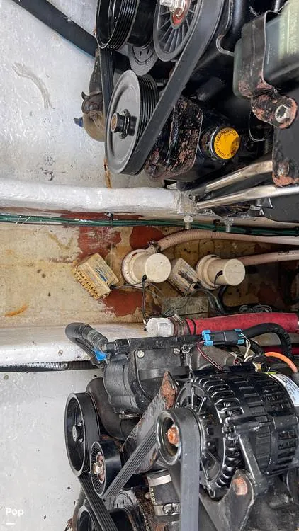 Slide: The Image of Sea Ray 290 Amberjack 2005 - 13493335