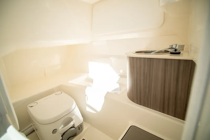 Slide: The Image of Sea Ray SDX 250 Outboard 2026 - 16