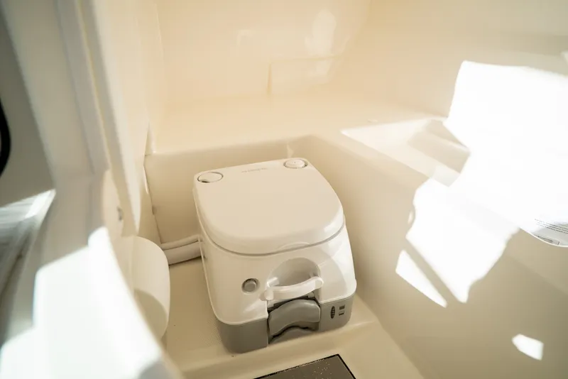 Slide: The Image of Sea Ray SDX 250 Outboard 2026 - 17