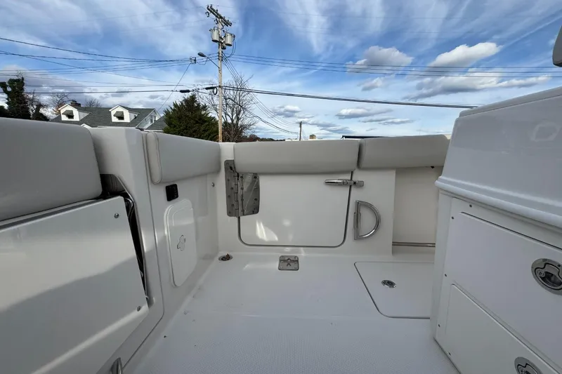 Slide: The Image of Sailfish 272CC SE 2026 - 10