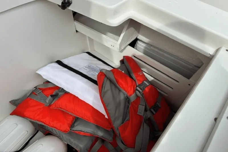 Slide: The Image of Sea Ray 19 SPX 2022 - 10