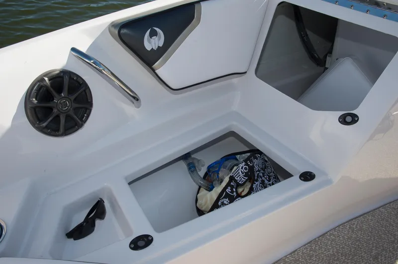 Slide: The Image of Scarab 195 HO 2017 - 19