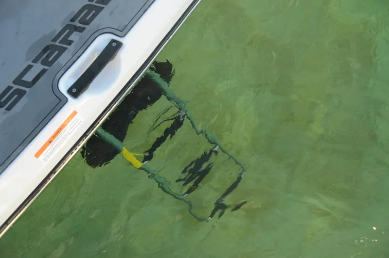 Slide: The Image of Scarab 195 HO 2017 - 22