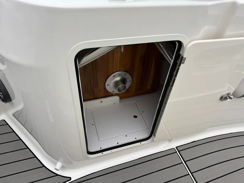 Slide: The Image of Sea Ray SDX 230 2026 - 32