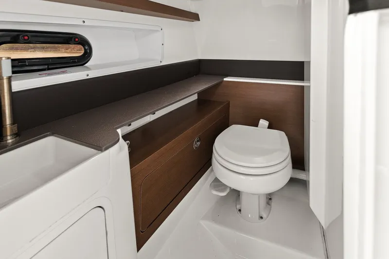 Slide: The Image of Sea Ray 290 SDX OUTBOARD 2022 - 26