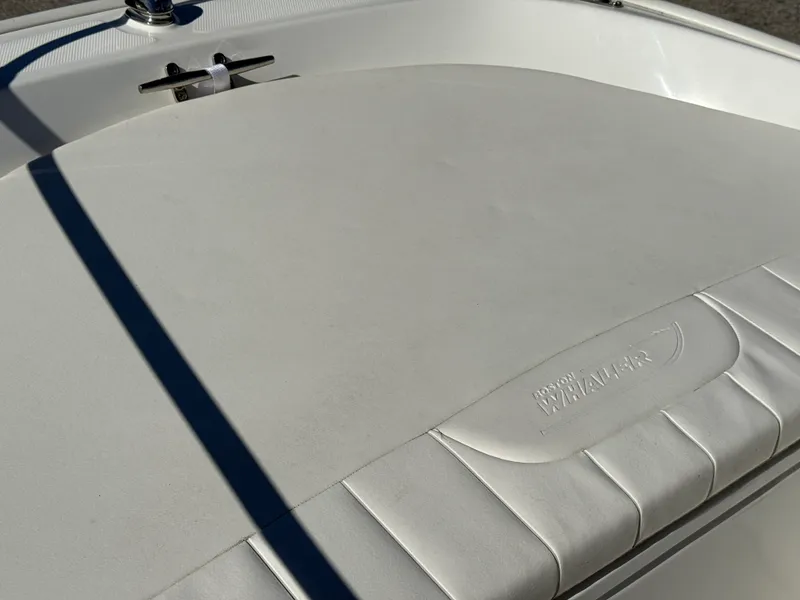 Slide: The Image of Boston Whaler 130 SS 2014 - 11
