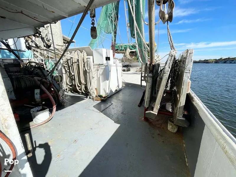 Slide: The Image of Commercial Shrimp 82 IQF 1986 - 13504500