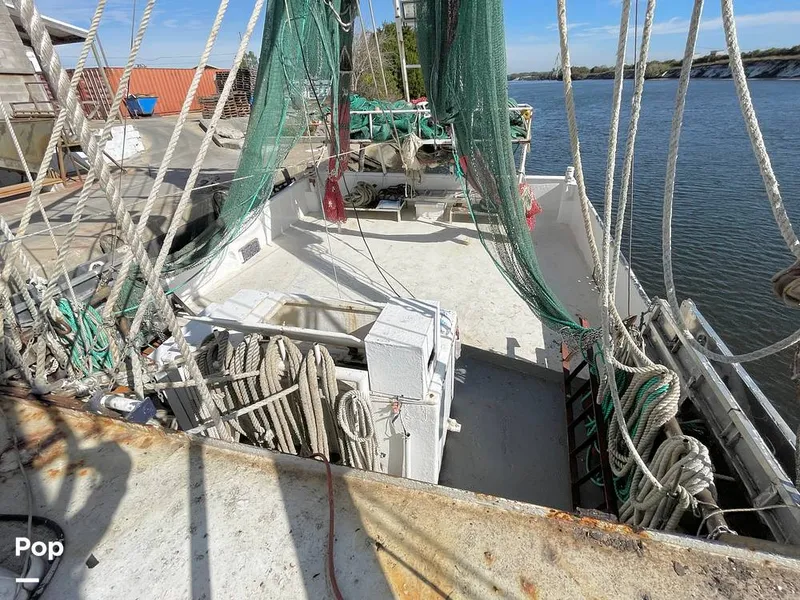 Slide: The Image of Commercial Shrimp 82 IQF 1986 - 13504656