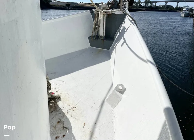 Slide: The Image of Commercial Shrimp 82 IQF 1986 - 13504519