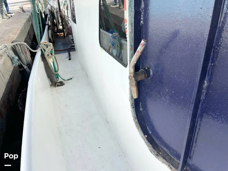 Slide: The Image of Commercial Shrimp 82 IQF 1986 - 13504520