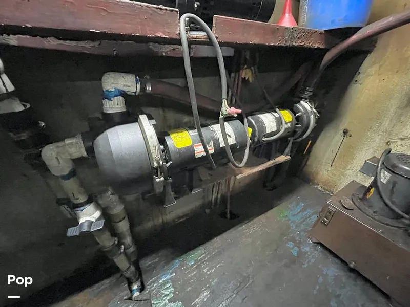 Slide: The Image of Commercial Shrimp 82 IQF 1986 - 13504539