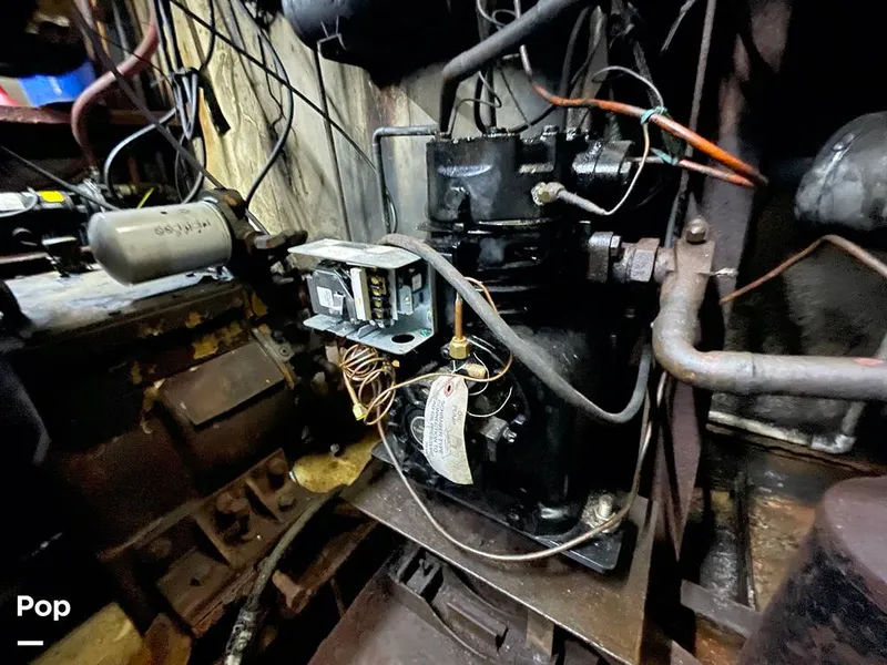 Slide: The Image of Commercial Shrimp 82 IQF 1986 - 13504639