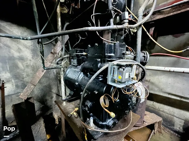 Slide: The Image of Commercial Shrimp 82 IQF 1986 - 13504640