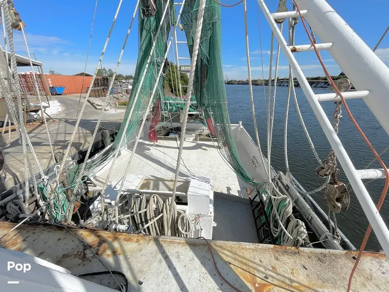 Slide: The Image of Commercial Shrimp 82 IQF 1986 - 13504655