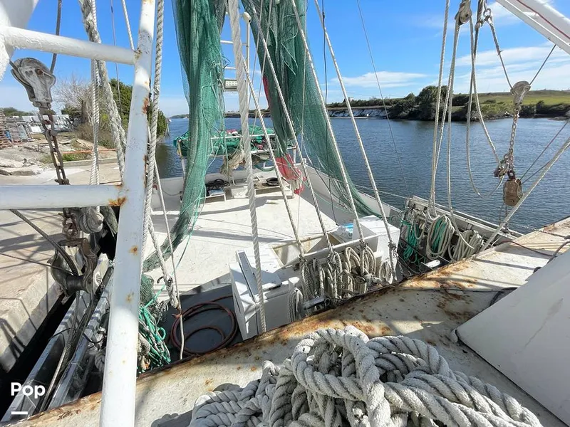 Slide: The Image of Commercial Shrimp 82 IQF 1986 - 13504657