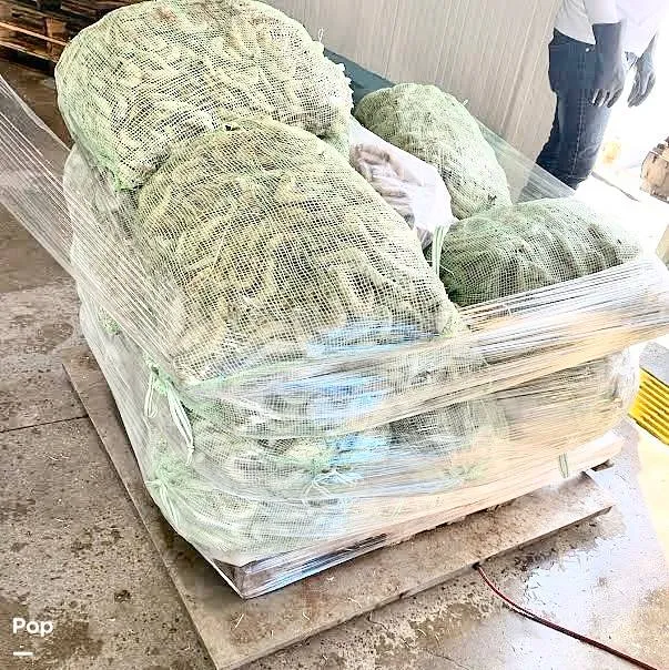 Slide: The Image of Commercial Shrimp 82 IQF 1986 - 15488662