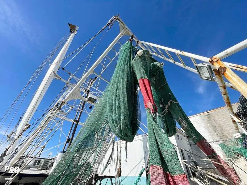 Slide: The Image of Commercial Shrimp 82 IQF 1986 - 13504420