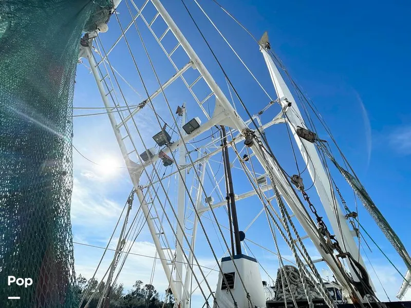 Slide: The Image of Commercial Shrimp 82 IQF 1986 - 13504430