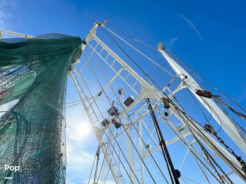 Slide: The Image of Commercial Shrimp 82 IQF 1986 - 13504431