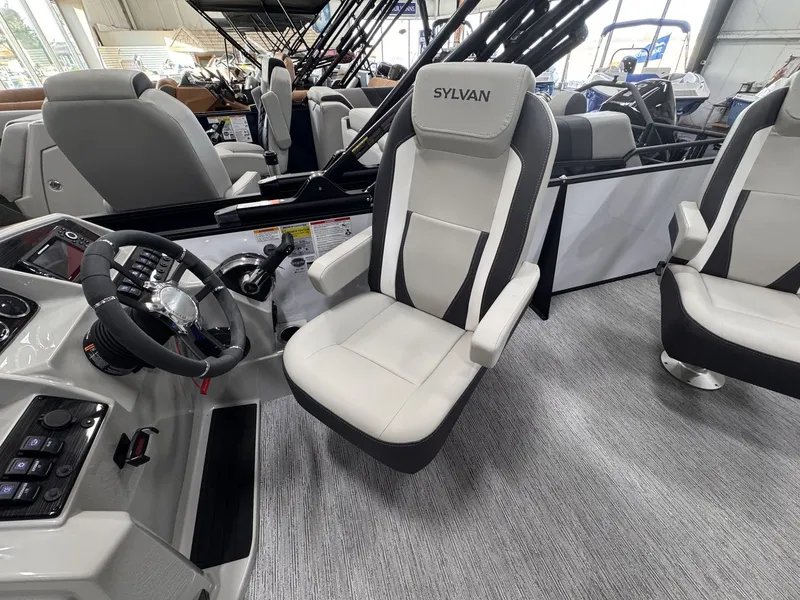 Slide: The Image of Sylvan Mirage X3 2026 - 7