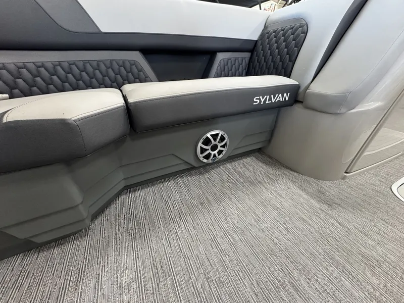 Slide: The Image of Sylvan L3 2026 - 20