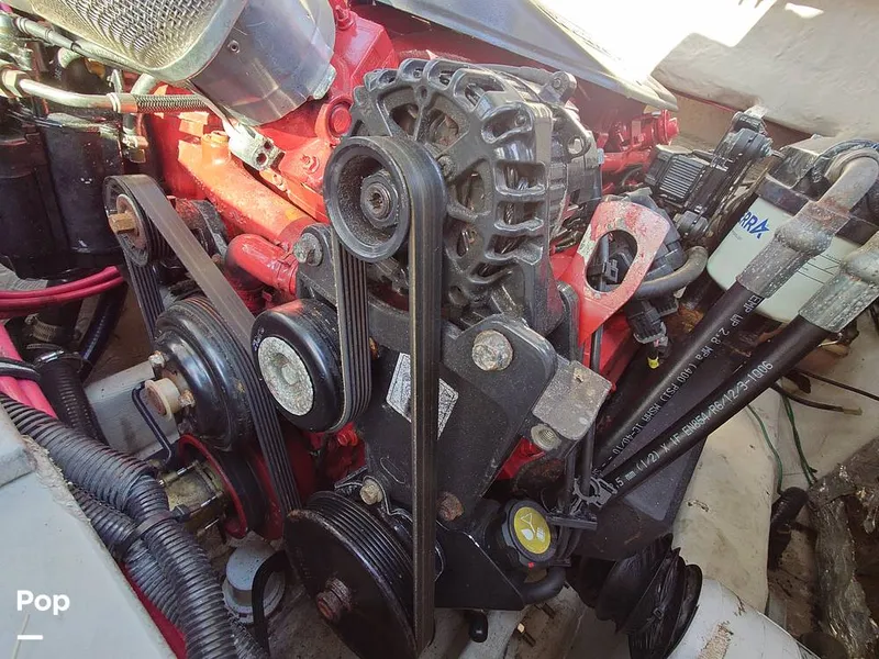 Slide: The Image of Belts - 14034945