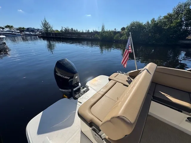 Slide: The Image of Sea Ray 250 SD-OB 2025 - 4