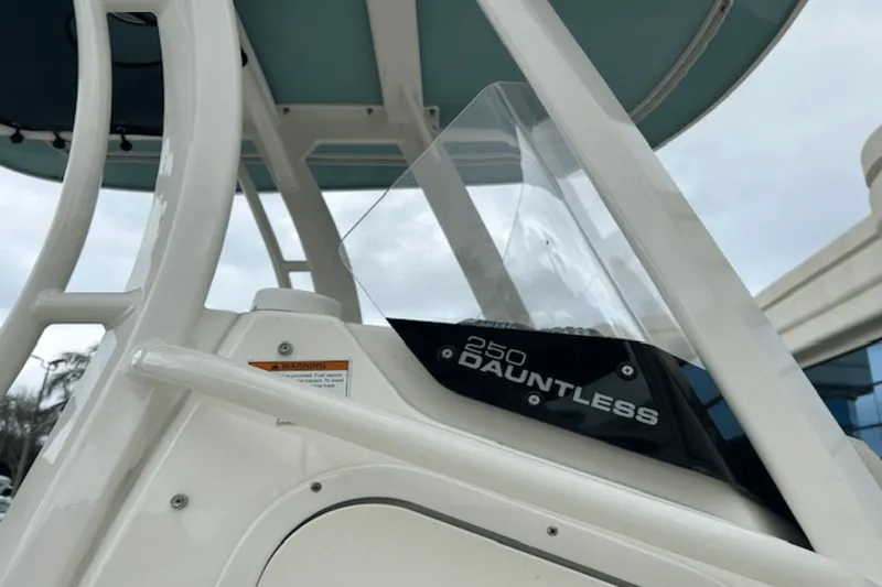 Slide: The Image of Boston Whaler 250 DAUNTLESS 2022 - 11