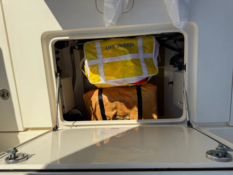 Slide: The Image of Scout 355 LXF CC 2019 - 53