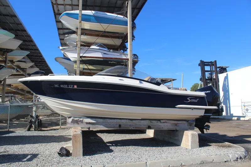 Slide: The Image of Scout 215 Dorado 2020 - 10