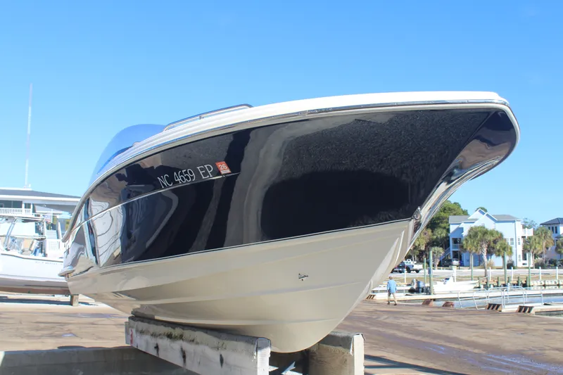 Slide: The Image of Scout 215 Dorado 2020 - 13