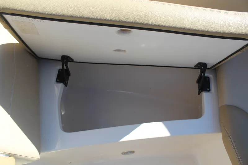 Slide: The Image of Scout 215 Dorado 2020 - 32