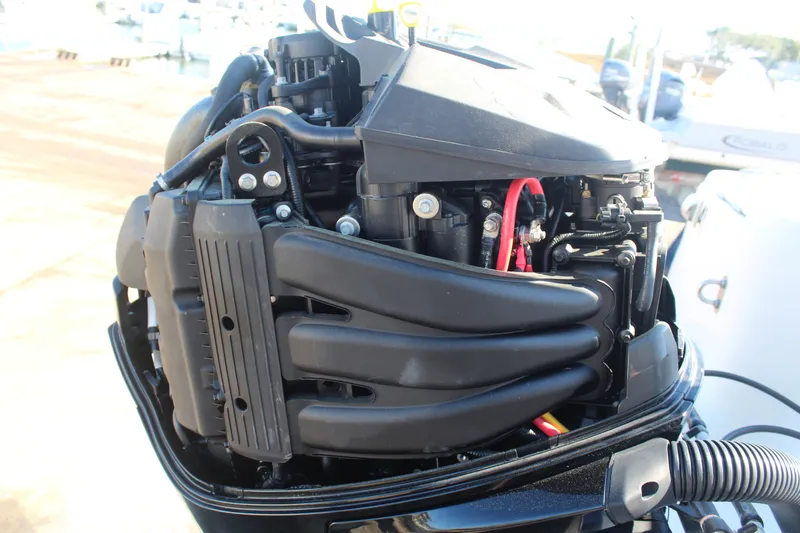 Slide: The Image of Scout 215 Dorado 2020 - 38