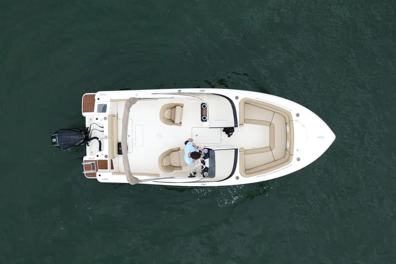 Slide: The Image of Scout 215 Dorado 2020 - 6