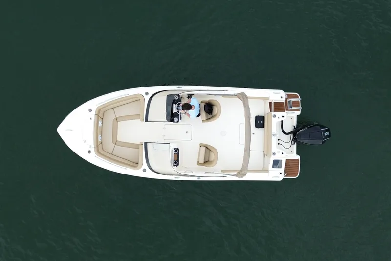 Slide: The Image of Scout 215 Dorado 2020 - 8