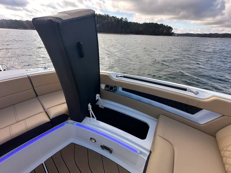 Slide: The Image of Sea Ray SLX 310 2026 - 14