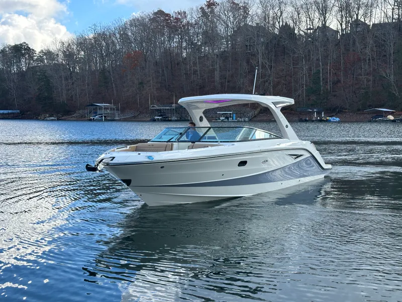 Slide: The Image of Sea Ray SLX 310 2026 - 9